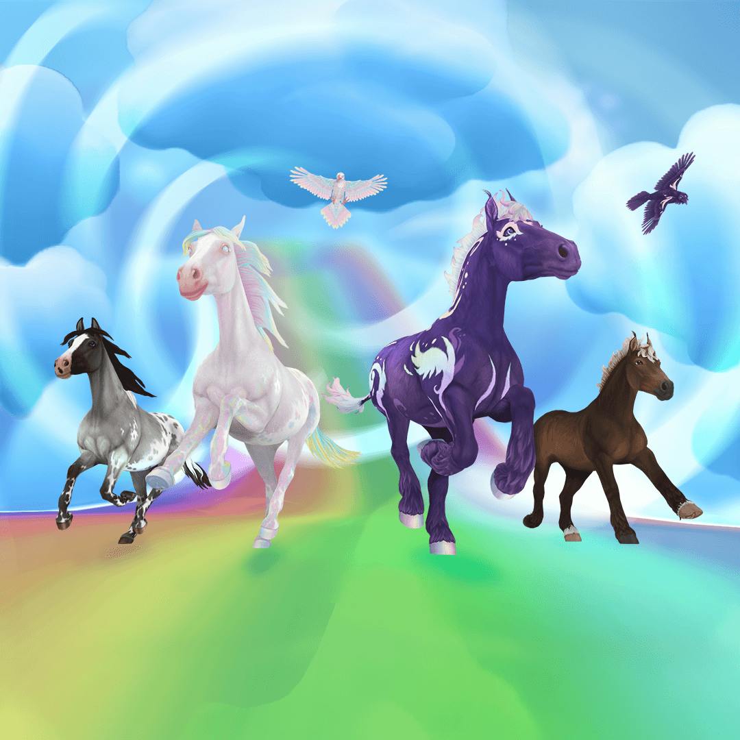 Rainbow festival | Star Stable