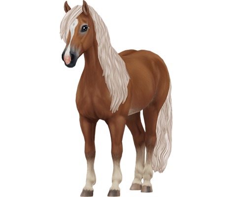 Haflinger Variation 1