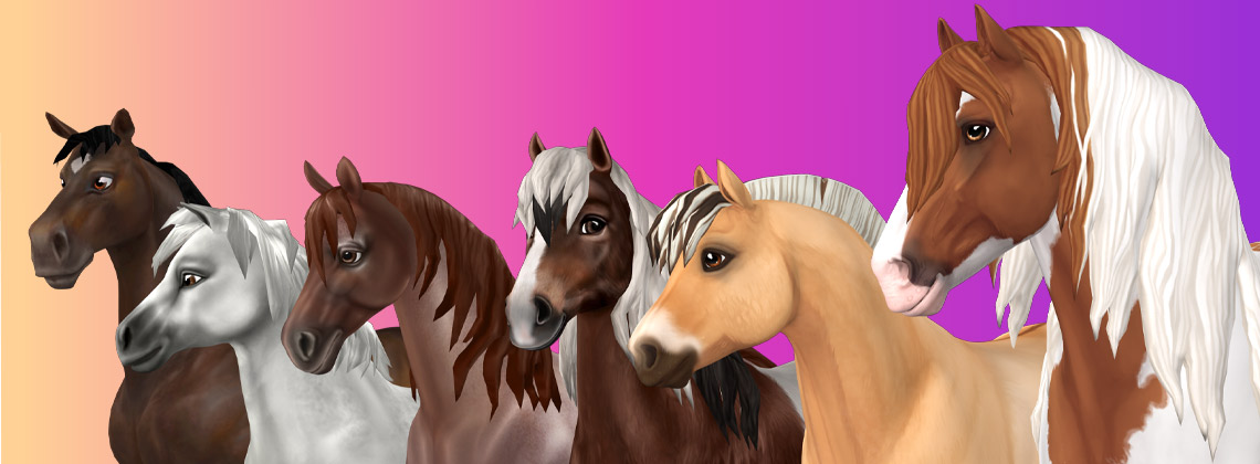 Horse Generations | Star Stable