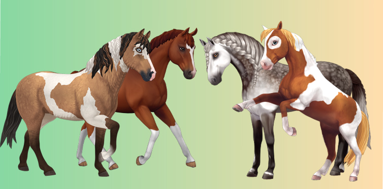 Et enfin, voici quelques-uns de nos chevaux de génération 3 !