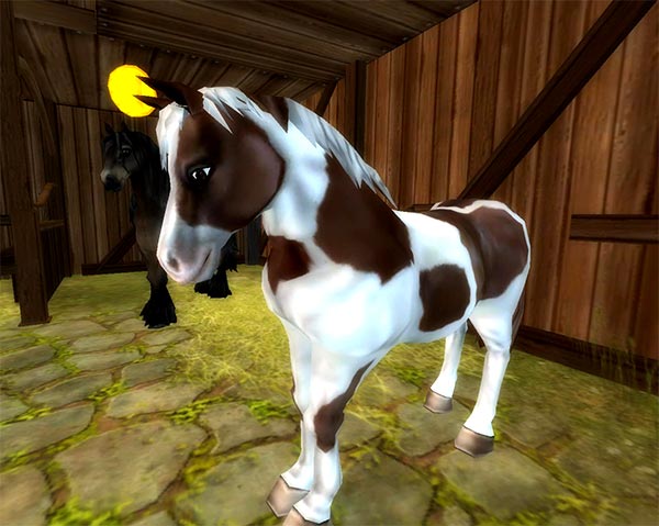 Introducing a handsome new pony breed: the Chincoteague!