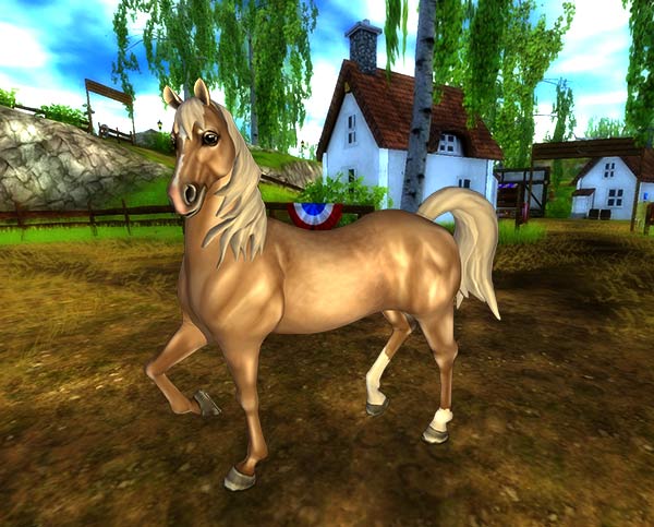 The beautiful American Quarter Horse!