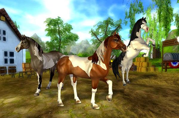 Brand new paint horses coming soon!