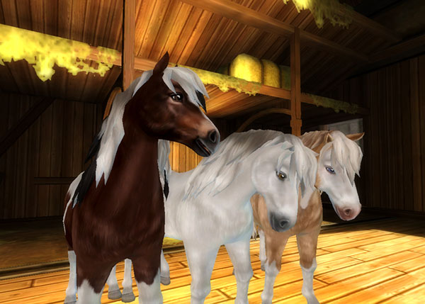 Trois nouvelles robes pour le cheval islandais!