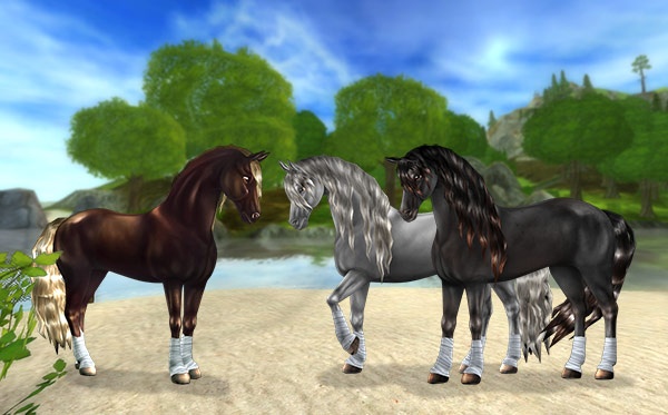 Updated Friesian Sport Horses on sale now for 890SC!
