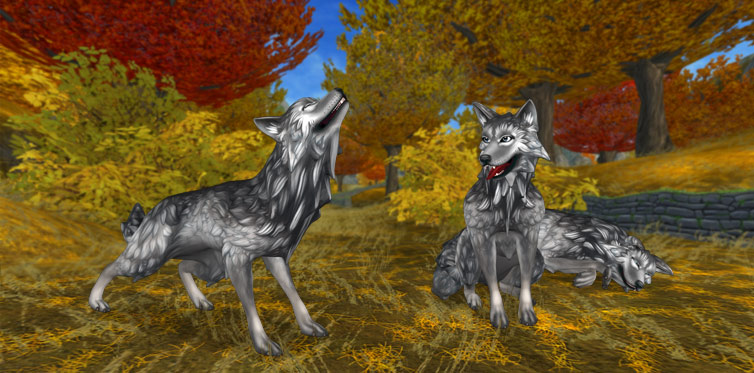 The wolves of Jorvik are more handsome than ever!