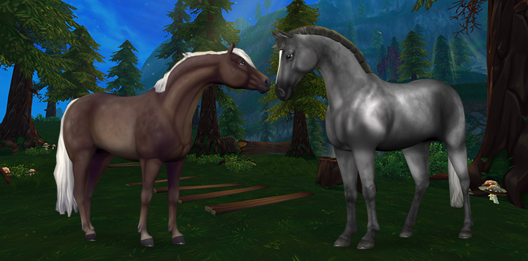 De nouveaux chevaux magnifiques!