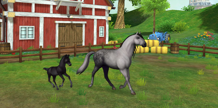 Take care of your very own Lusitano foal in Star Stable Horses!