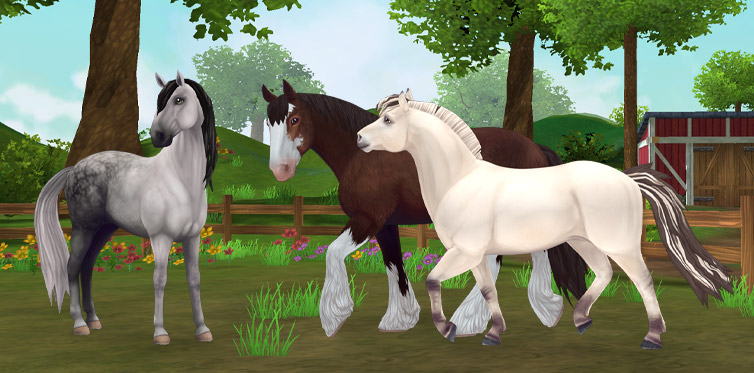 Clydesdale, Lusitano, Fjord… So many horses to choose from!