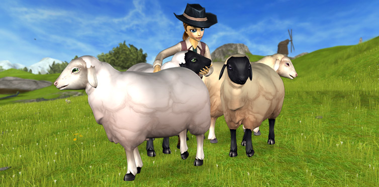 If you’re gonna count all our new sheep, don’t fall asleep!