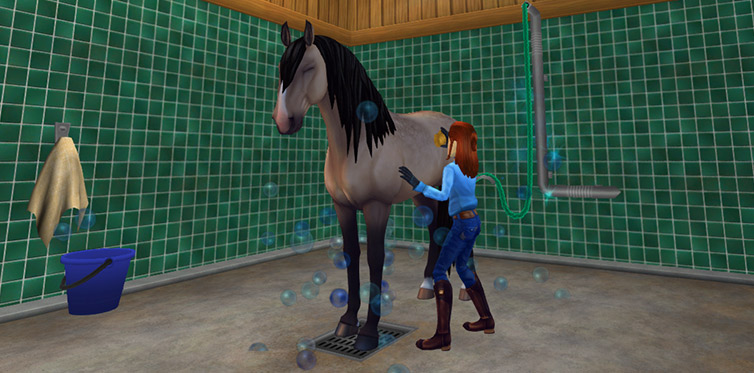 Have some bonding time with your favorite horse!