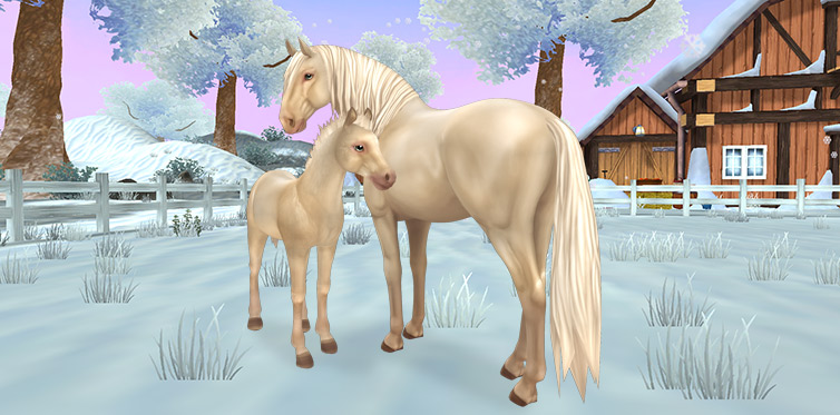 New horse in Star Stable Horses!