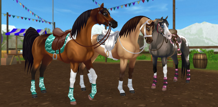 Special deals on some special Pinto Arabians!
