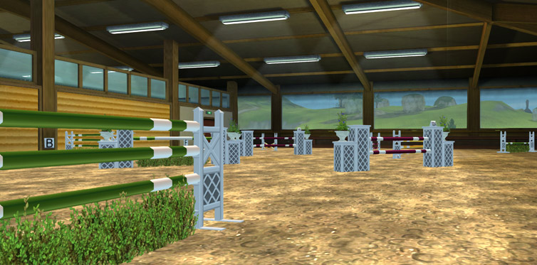 All new obstacles in the riding hall!