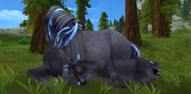 The Texas Bluebell coat is available in Star Stable Horses until July 1!