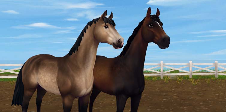 The Jorvik Warmblood and Trakehner are discounted for the next four weeks!