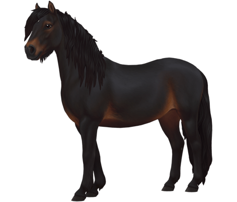 Dartmoor Variation 3 image