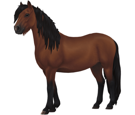 Dartmoor Variation 5 image