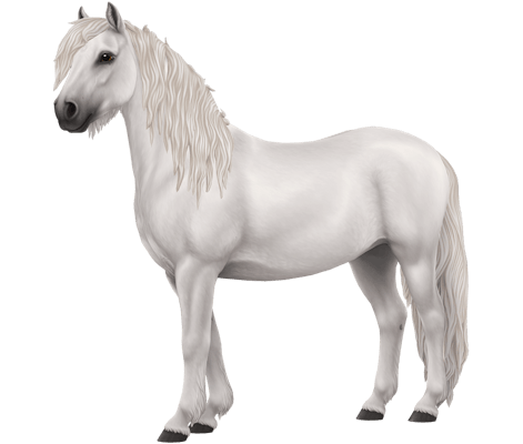 Dartmoor Variation 6 image