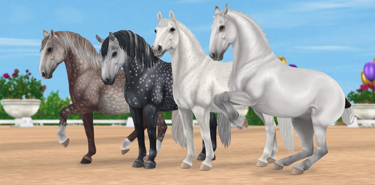 Our new Lipizzaner horses!