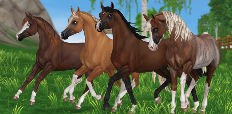 Który z tych koni to Twój ulubieniec? #AwesomeArabians