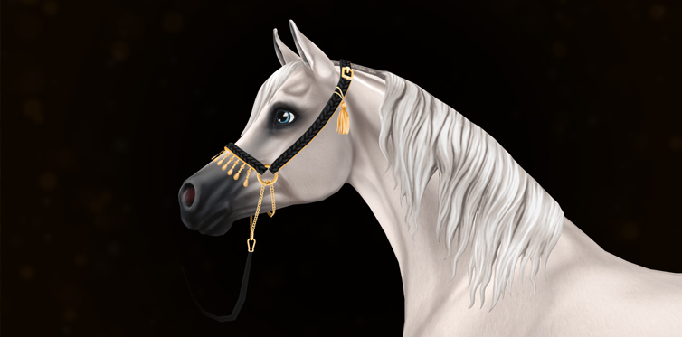 Szépséges kötőfékek arab lovadnak!