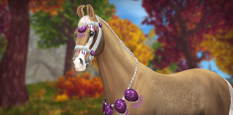 La bride parfaite pour ce cheval très spécial !