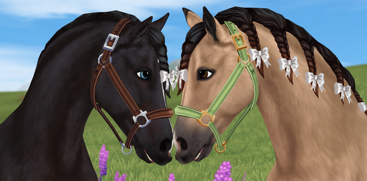 How adorable are these halters?