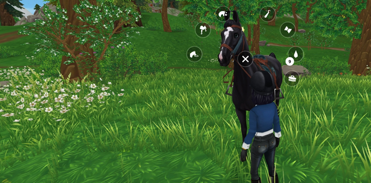 Click on your horse’s head to bring up the care menu