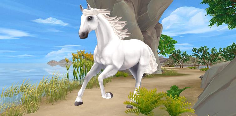 Андалузская лошадь — прекрасная и грациозная!