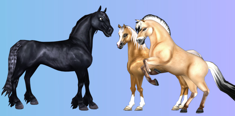 Вот некоторые из наших лошадей поколения 1!