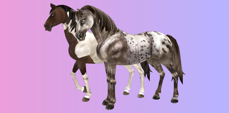 Horses with this look belong to Generation 1.5!