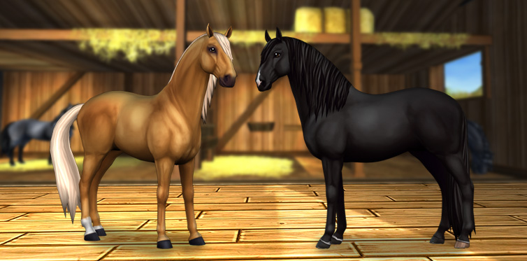 Will one of these #LovelyLusitanos join you in your stable?