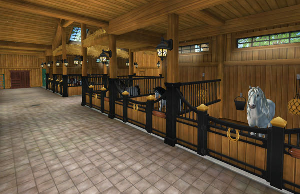 Newly renovated stable, just for you!
