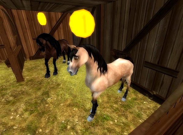 Fall in love with these beautiful new horses!