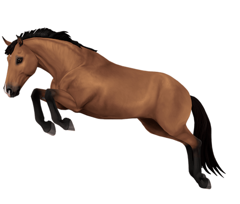 Belgian Warmblood variation 3