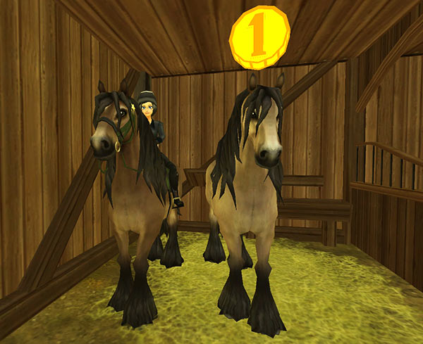 Two handsome new North Swedish horses available now!