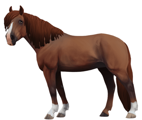 Finnhorse variation 3