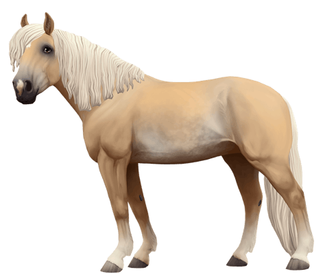 Finnhorse variation 5