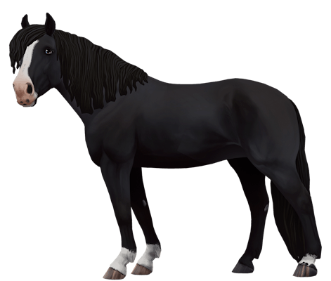 Finnhorse variation 6