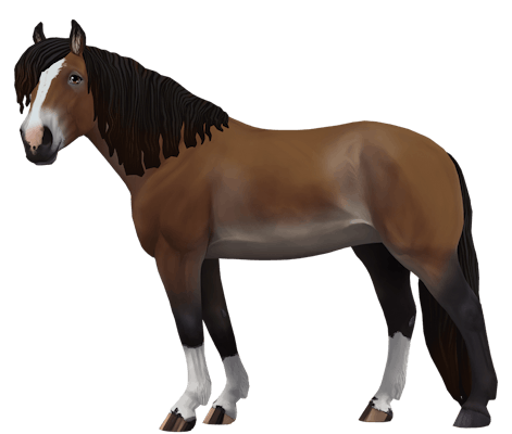 Finnhorse variation 7