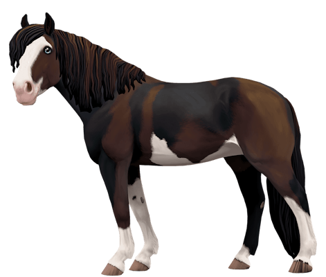 Finnhorse variation 9