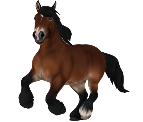 A galloping Ardennes