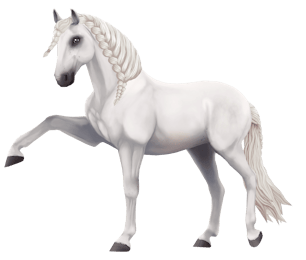 Horses Of Jorvik Breeds From Star Stable Online Horses Of Jorvik Breeds From Star Stable Online