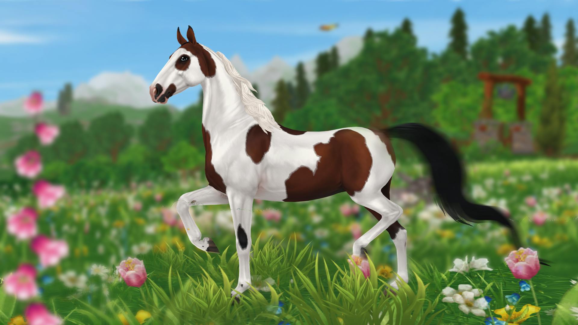 В лагерь «Вестерн» прискакала американская верховая лошадь! | Star Stable