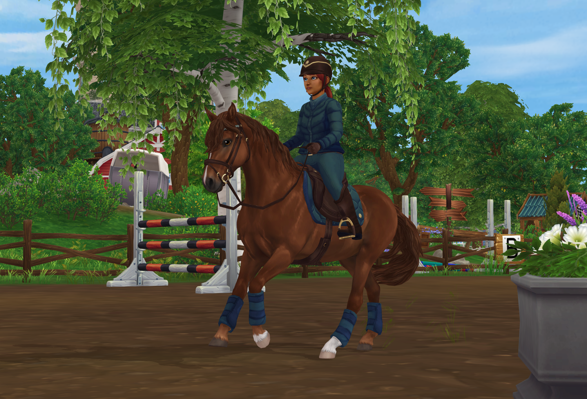 A Connemara Comeback Star Stable A Connemara Comeback Star Stable